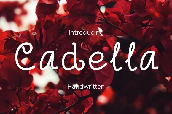 Cadella Font: A Handwritten Typeface for Fresh and Classy Campaigns