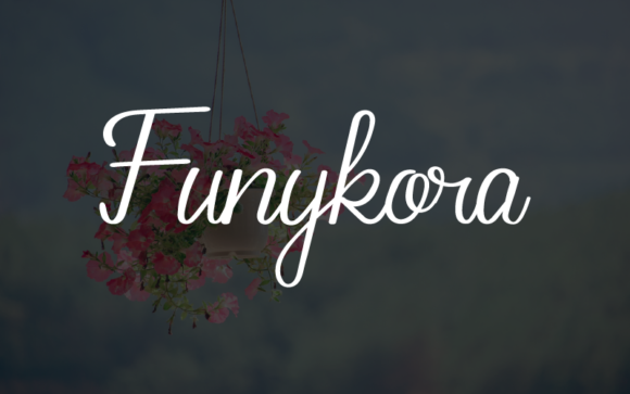 Funykora Font: A Sweet Script for Creative Makers