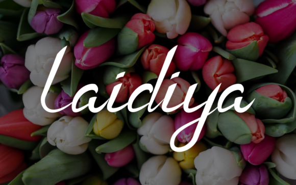 Laidiya Font: A Versatile Script for Creative Branding Projects