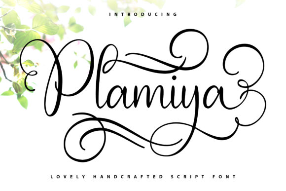 Plamiya Font for a Handwritten Brand Touch